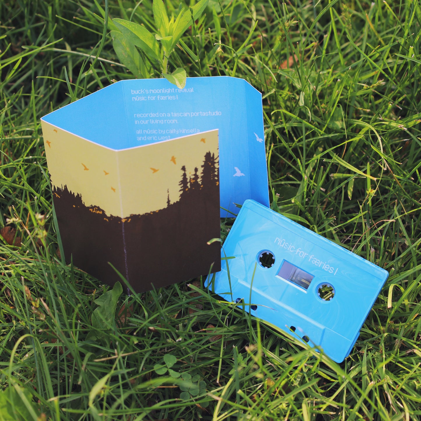 mūsic for færies I (Cassette)